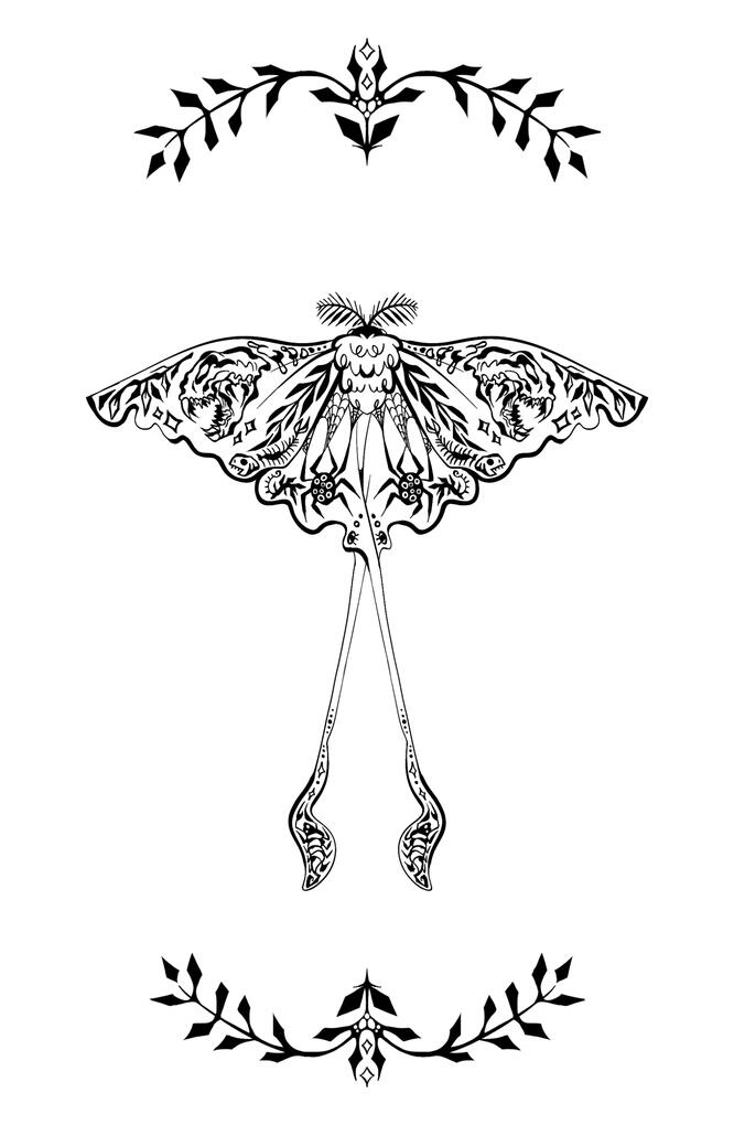 Portrait of a Predator