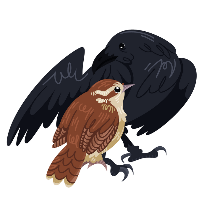 Wren & Raven (2.5 x 2)