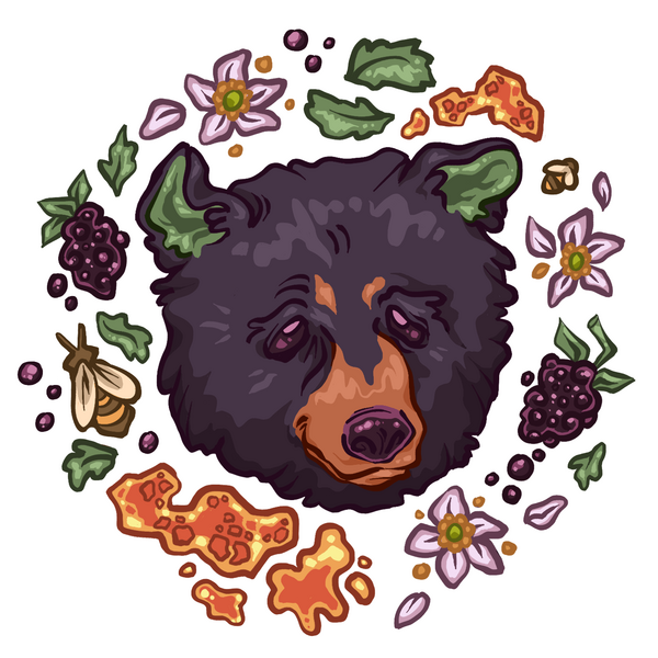 Blackbeary (2.5 in.)