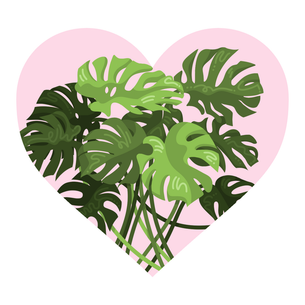 Monsteras (2.5 x 2.3 in.)