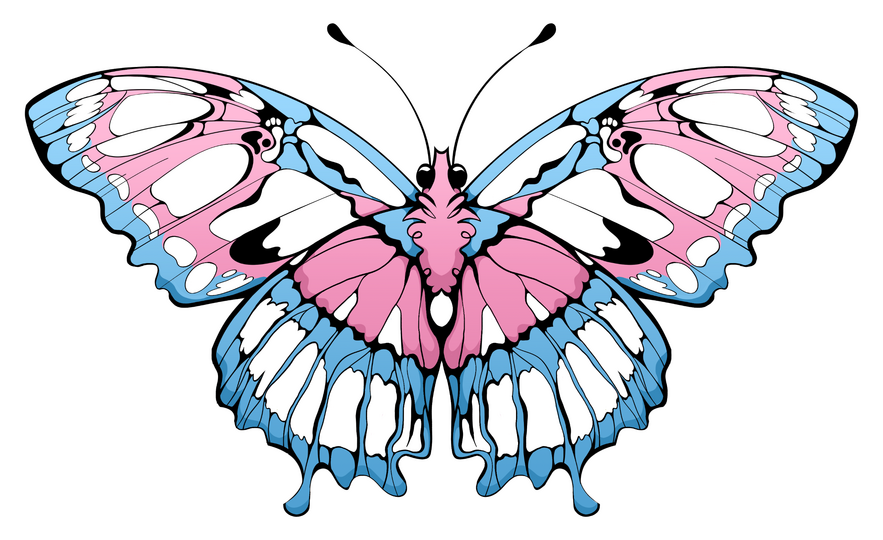 Trans Butterfly (3 x 1.8 in.)