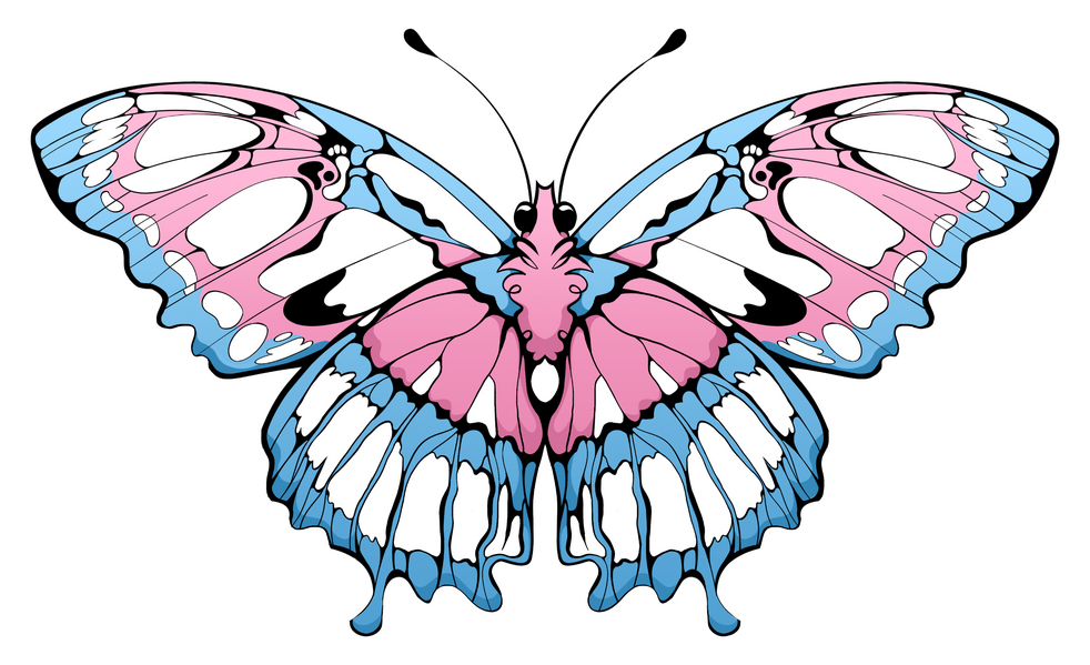 Trans Butterfly (3 x 1.8 in.)