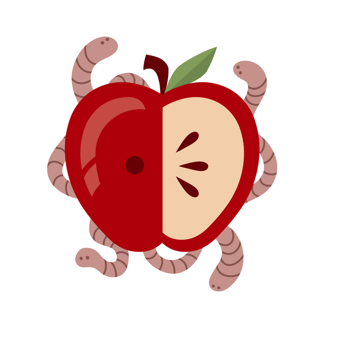 Apple (2.7 x 2.5 in.)